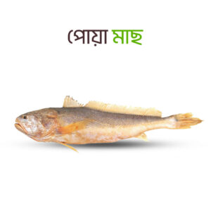 Fresh Sea Poa fish packaging