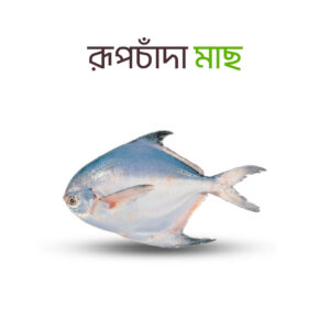 Fresh White Rupchanda fish packaging