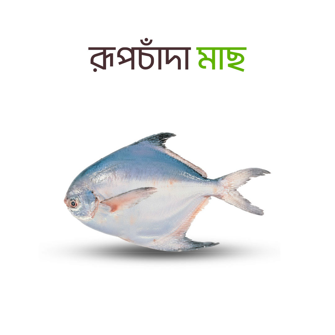 Fresh White Rupchanda fish packaging