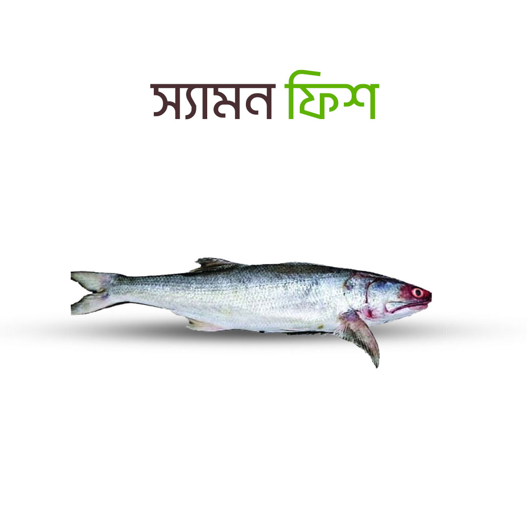 Fresh Sea Salmon fish packaging