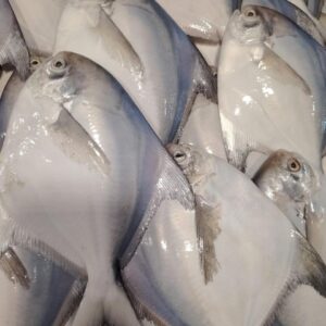 Formalin-free sea Rupchanda fish online Bangladesh