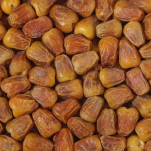 Saudi Sukkari khajoor